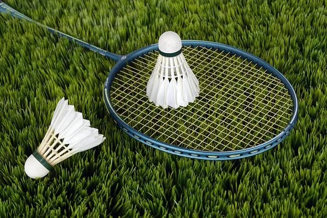 Comment choisir la raquette de padel qui vous convient